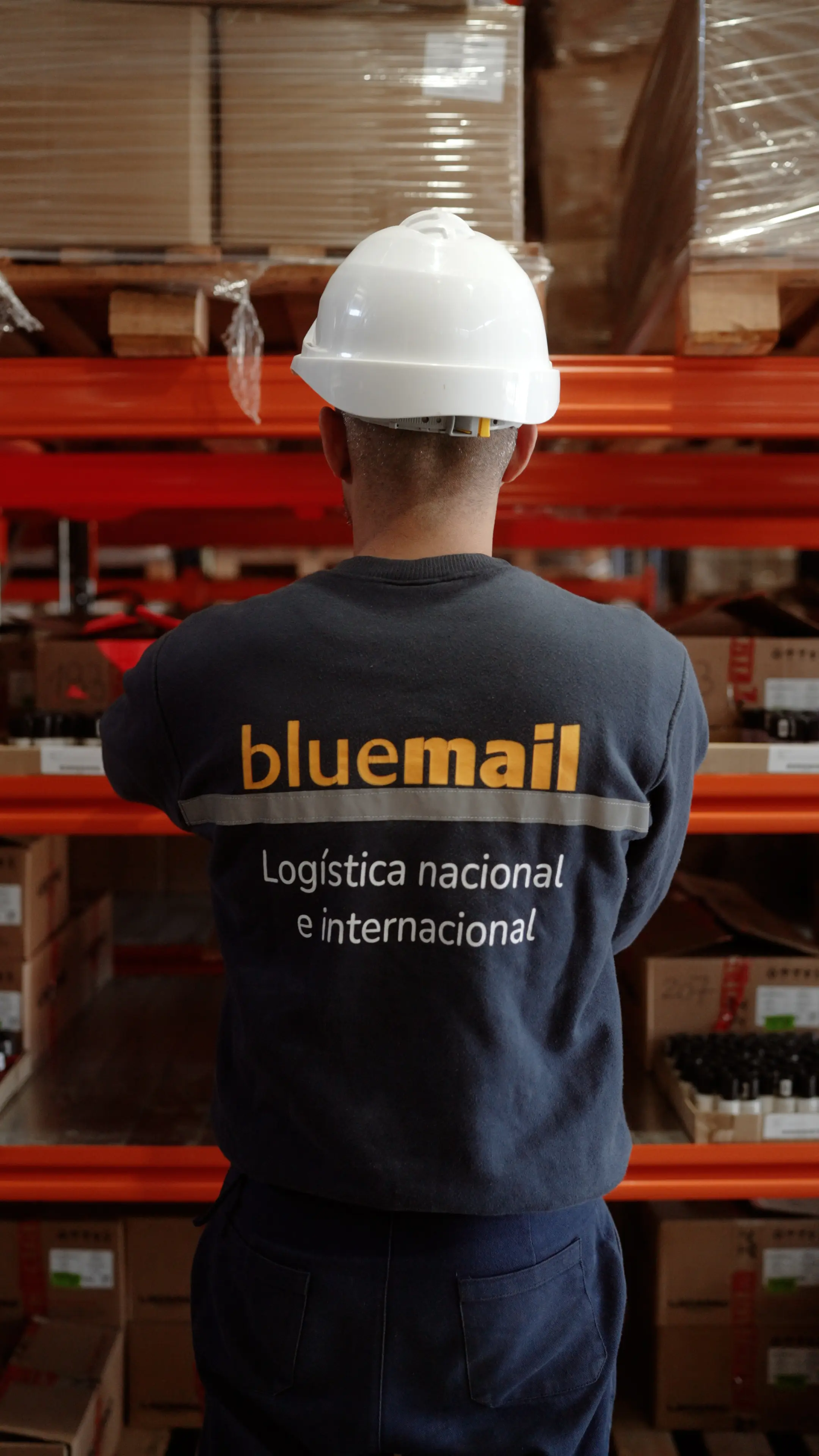 logística blue mail